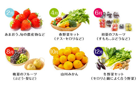 D2 【偶数月6回定期便】かくげつの逸品 特産品 旬 フルーツ 果物 野菜 セット 農産物 定期