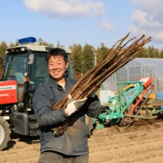 【先行受付】【2027年2月より順次発送】北海道十勝芽室町 季節のおまかせ野菜セット（冬） me001-015c