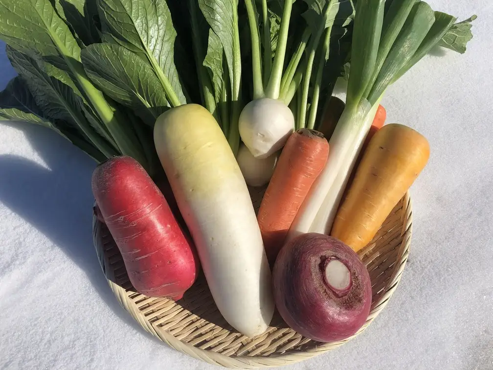 【2026年先行予約】信州ありさんファーム 旬の野菜 7~9品 冬版 【有機JAS認証】|有機野菜 野菜