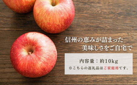 【2026年先行予約】りんご サンふじ 家庭用 訳あり 約10kg ＜中島農園＞|りんご
