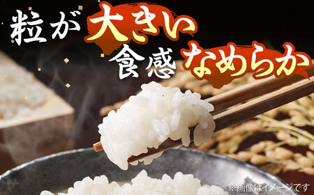 【R7年度産】壱岐産米 なつほのか 10kg [JCZ015] 米 お米
