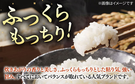 こしひかり 5kg [JCZ021] コシヒカリ 精米 白米