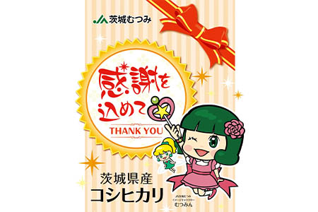 令和7年産 茨城県産コシヒカリ20kg (10kg×2) ／ お米 精米 こしひかり 旨味 安心 美味しい JA茨城むつみ 茨城県 五霞町【価格改定】