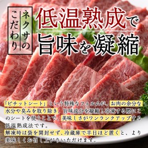 おおいた和牛 上カルビ・上ロース焼肉セット (合計450g・上カルビ250g+上ロース200g) 国産 牛肉 肉 霜降り 低温熟成 A4 和牛 ブランド牛 カルビ ロース 焼肉 BBQ 冷凍 【DH210】【(株)ネクサ】