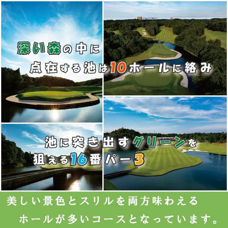 太平洋クラブ大洗シャーウッドコース 利用券 3,000円分 (3,000円×1枚) ゴルフ コース 全日利用可 ゴルフ場 大洗 茨城 プレー券_BH002