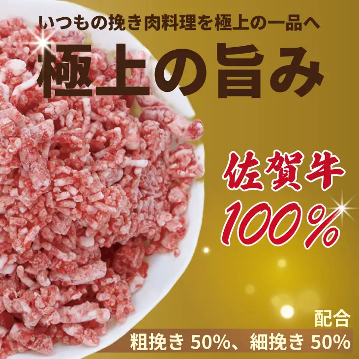 佐賀牛 100% 挽き肉 800g ハンバーグに最適 ミンチ  B120-058