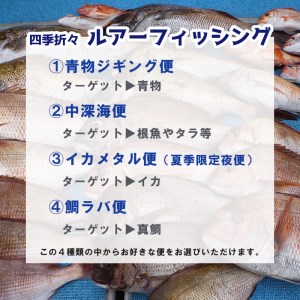 舞鶴で船釣り体験！ シーホーク １日乗船券 １名様 ： ルアーフィッシング 関西 日本海 京都府 舞鶴市 海 アウトドア 釣り フィッシング 船 釣り船 船釣り 体験