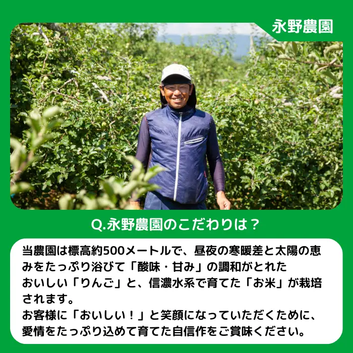 りんご サンつがる 家庭用 3kg 永野農園 沖縄県への配送不可 2026年8月下旬頃から2026年9月中旬頃まで順次発送予定 令和8年度収穫分 信州 果物 フルーツ リンゴ 林檎 長野 予約 農家直送 長野県 飯綱町 [0487]