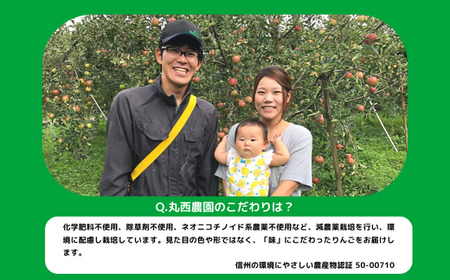 りんご チップ 無添加 砂糖不使用 30g × 10袋 丸西農園 特別栽培農産物 ( 除草剤 化学肥料 不使用 ) 健康 おやつ チップス ドライフルーツ ドライアップル りんご 林檎 加工品 信州 農家直送 長野県 飯綱町 [1376]