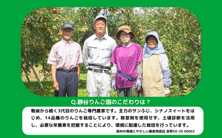 りんご サンつがる 家庭用 3kg 沖縄県への配送不可 2026年9月上旬から2026年9月中旬頃まで順次発送予定 令和8年度収穫分 静谷りんご園 減農薬栽培 信州の環境にやさしい農産物認証 長野県 飯綱町 [1313]