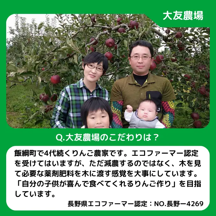 旬のりんご シナノ 3連星 【 定期便 】 家庭用 3kg × 3回 大友農場 エコファーマー認定 沖縄県への配送不可 2026年8月下旬頃から2027年1月中旬頃まで順次発送予定 令和8年度収穫分 信州 果物 フルーツ リンゴ 林檎 長野 予約 農家直送 長野県 飯綱町 [1388]