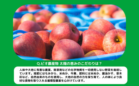 【 冷蔵便 】 野菜 太陽の野菜セット 【 季節ごと旬の野菜 】 配送先は本州限定 クール便 2026年7月中旬頃から2026年11月上旬頃まで順次発送予定 ビオ農産物 太陽の恵み ( 化学肥料 除草剤 不使用 ) 長野県 飯綱町 [0009]