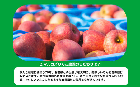 りんご シナノスイート 秀 ～ 特秀 5kg マルカズりんご農園 沖縄県への配送不可 2026年10月中旬頃から2026年10月下旬頃まで順次発送予定 令和8年度収穫分 信州 果物 フルーツ リンゴ 林檎 長野 予約 農家直送 長野県 飯綱町 [0990]