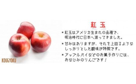 りんご 紅玉 秀 ～ 特秀 4.5kg （～23玉） ヒライ農園 沖縄県への配送不可 2026年10月上旬頃から2026年10月中旬頃まで順次発送予定 令和8年度収穫分 信州の環境にやさしい農産物認証 減農薬栽培 長野県 飯綱町 [0362]