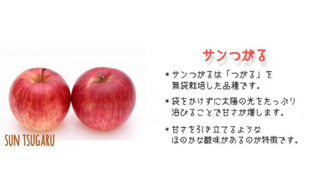 りんご サンつがる 家庭用 5kg 関農園 沖縄県への配送不可 2026年8月下旬頃から2026年9月上旬頃まで順次発送予定 エコファーマー認定 令和8年度収穫分 信州 果物 フルーツ リンゴ 林檎 長野 予約 農家直送 長野県 飯綱町 [1087]
