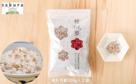 TOONむぎむぎセット 麦 もち麦 はだか麦 食物繊維 ご飯 サラダ スープ もちもち プチプチ 