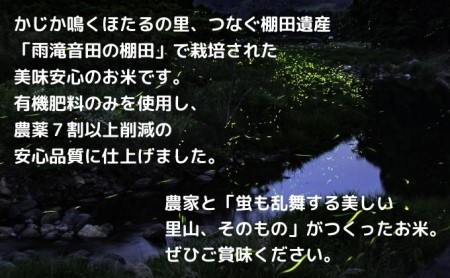 〈坂本自然農場 穂田琉〉 特別栽培米:ひめの凜　精米2kg ご飯 お弁当 おにぎり 冷めても美味しい 愛媛県産 県知事賞 お米 
