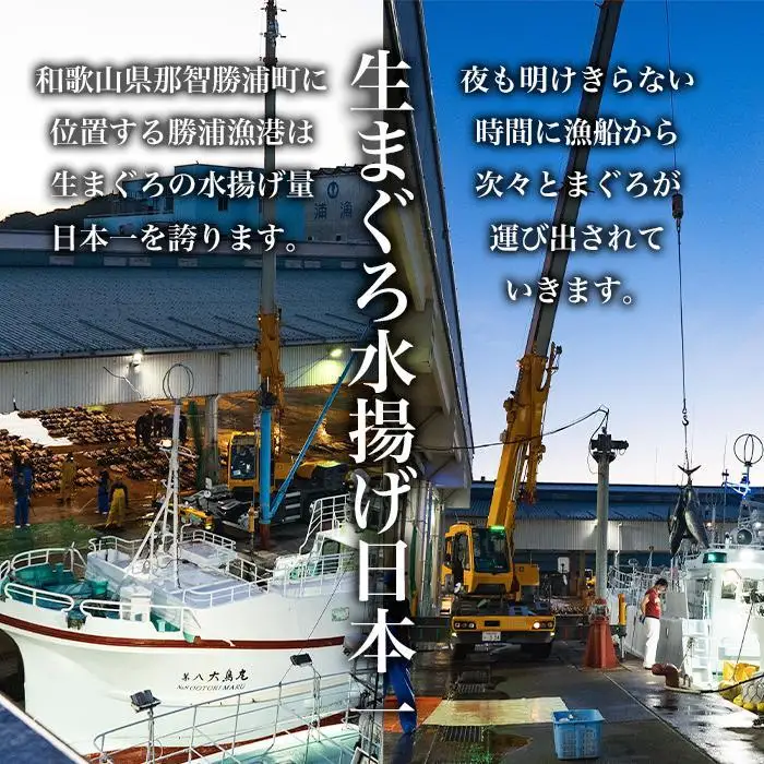 【訳あり】丼にぴったり！那智勝浦町水揚げびんちょうマグロのぶつ切り（2パック）【不揃い】（計600g）