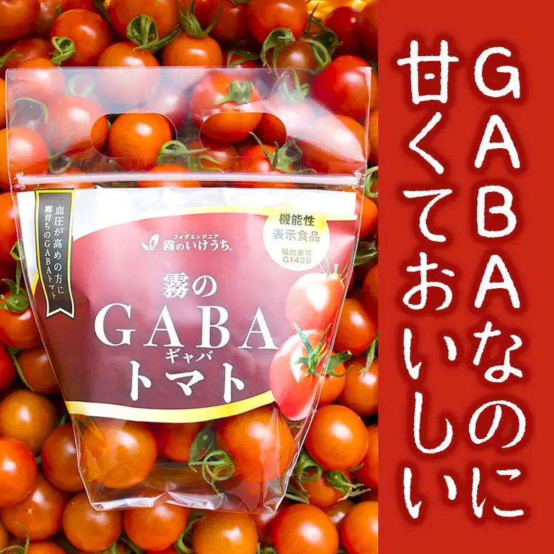 ストレス社会にぴったり！機能性表示食品 霧のGABAトマト 300ｇ×12パック（20-52）