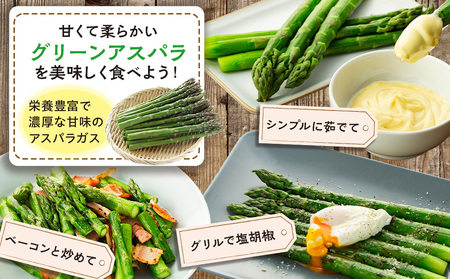 【R8年産】アスパラガス（夏採り）特別栽培 約1kg 細川農園 | グリーンアスパラ グリーンアスパラガス アスパラ 野菜 春野菜 朝採れ 新鮮 極太 サラダ 天ぷら 炒め物 旬 特産 産地直送 北海道 津別町 送料無料