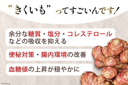 【定期便 6回】菊芋 《日向市産》有機JAS認証 菊芋(きくいも) パウダー 100g×2袋× 6回 [増田園芸 宮崎県 日向市 Z84-01]
