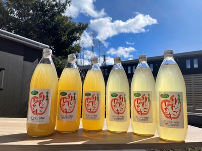 *リンゴジュース 1L× 6本 セット（ シナノスイート ・ サンふじ ） ｜ マルヒラ農園 リンゴ りんご 林檎 リンゴジュース りんごジュース 100％リンゴジュース 100％ジュース シナノスイート サンふじ 飲料 飲み物 飲み比べ セット ジュース 長野県 松川村 信州