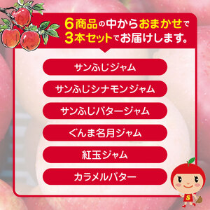 りんごジャム3本セット ｜ 外川果樹園 リンゴ りんご 林檎 リンゴジャム りんごジャム りんごじゃむ ジャム じゃむ さんふじ サンふじ シナモンジャム バタージャム 果実ジャム セット 詰め合わせ 長野県 松川村 
