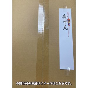 ＜お中元熨斗付＞プレミアムアールスメロン1個　ギフトＢＯＸ入り