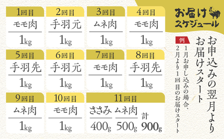 鶏肉 定期便 お楽しみ 地鶏 定期便11回 飛騨地鶏 モモ肉 手羽元 手羽先 ムネ肉 など約10kg 国産 国産地鶏 [Q2620]