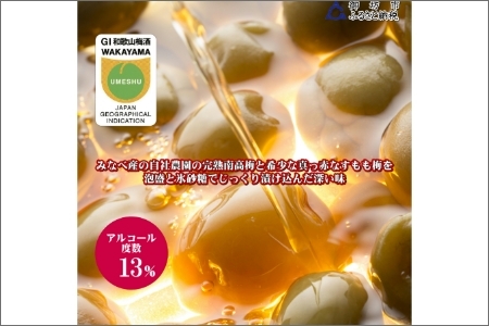 【0950-4】壱～ICHI～ 泡盛梅酒 375ml（2本）