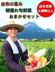 由布の恵み【新鮮 朝穫れ旬野菜！8種類以上！】おまかせお楽しみセット | 野菜