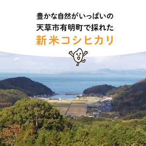 S109-003A_〈令和8年産〉熊本県天草産　天草コシヒカリ6kg（3kg×2）