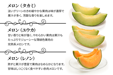 【先行予約】満喫！ つがるメロン 食べ比べセット (タカミ・ユウカ・レノン) 各1.6kg 3玉セット｜舐瓜 [0669]