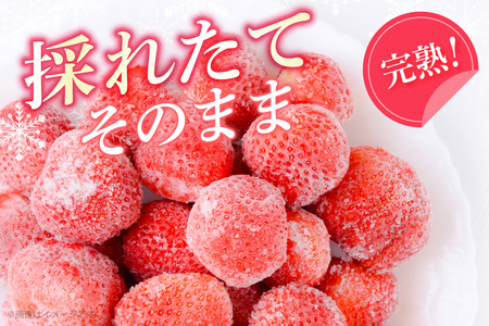 いちご 冷凍 完熟 あまおう 2kg いちご [um40azp070000]
