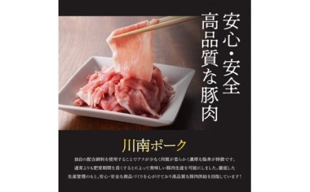【ふるなびWEEK対象】豚肉 ※令和8年6月発送※宮崎県産豚肉　川南ポーク小間切れ4.5kg(250g×18パック)  小間切れ 小分け