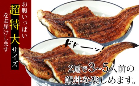 【定期便】三河産うなぎ「超特大蒲焼き2尾(合計400～420g)」×6回(隔月1回　1年間)・A133-108