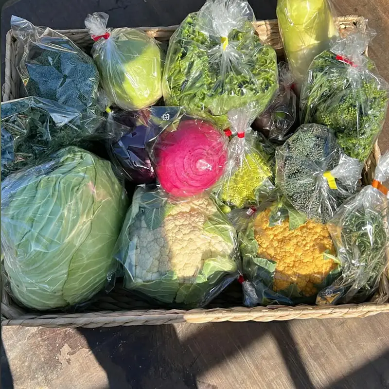 【冷蔵便】季節のこだわり野菜セット 野菜詰め合わせ（春野菜 夏野菜 ハーブ など）【 神奈川県 大磯町 野菜セット 詰め合わせ 季節 旬 】