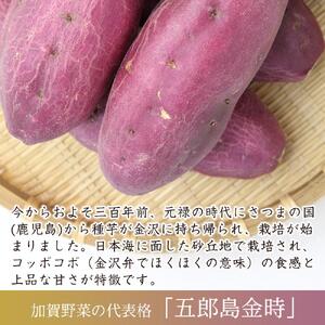 さつまいも JA金沢市 加賀野菜　五郎島金時 秀品・5kg さつまいも