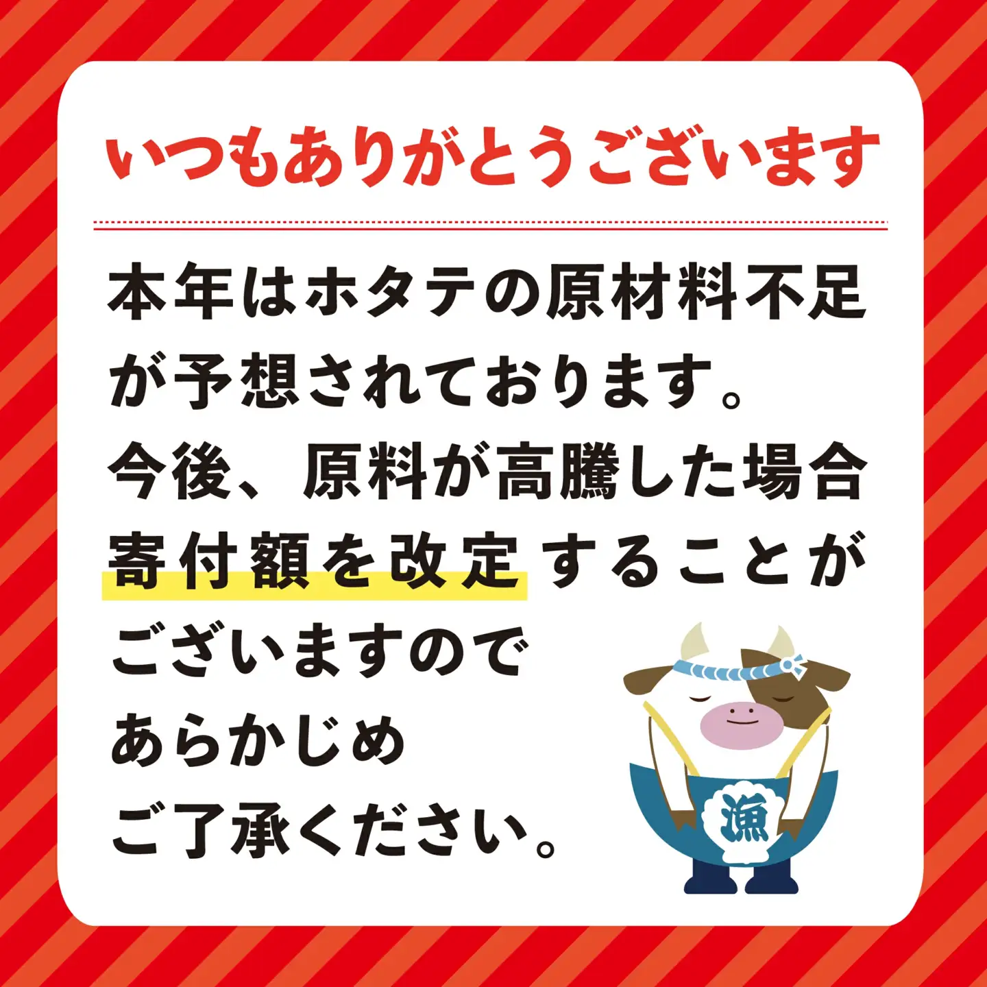 【隔月5回定期便】特大 冷凍ホタテ 貝柱 500g（ ほたて定期便 ホタテ定期便 帆立定期便 定期便 北海道定期便 人気定期便 ）
