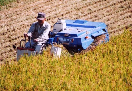 【寄附額見直し】【令和7年産】特別栽培米「吉四六米（ヒノヒカリ）」（30kg）玄米