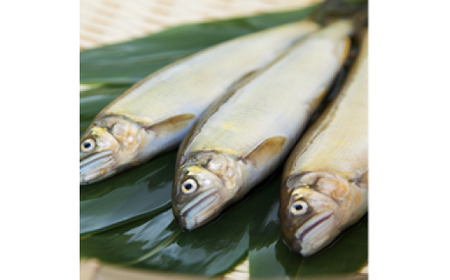 鮎 甘露煮 6匹（袋入り） セット ／ 宮川物産 あゆ 和食 お取り寄せグルメ お惣菜 惣菜 総菜 魚 川魚 香魚 おつまみ おかず 魚の甘露煮 ご飯のお供 ごはんのおとも ご自宅用 家庭用 ギフト 贈答用 三重県 大台町 (004)