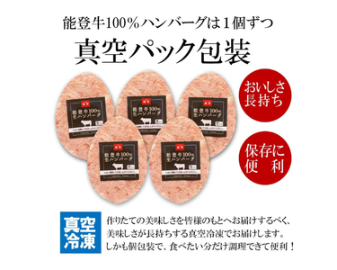 てらおか風舎の特選能登牛100%ハンバーグ 120g×5個 [てらおか風舎（寺岡畜産株式会社） 石川県 志賀町 AA4199]
