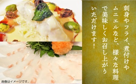 ★父の日にオススメ★壱岐産 ヒラメフィレ 450gから500g [JDT007]