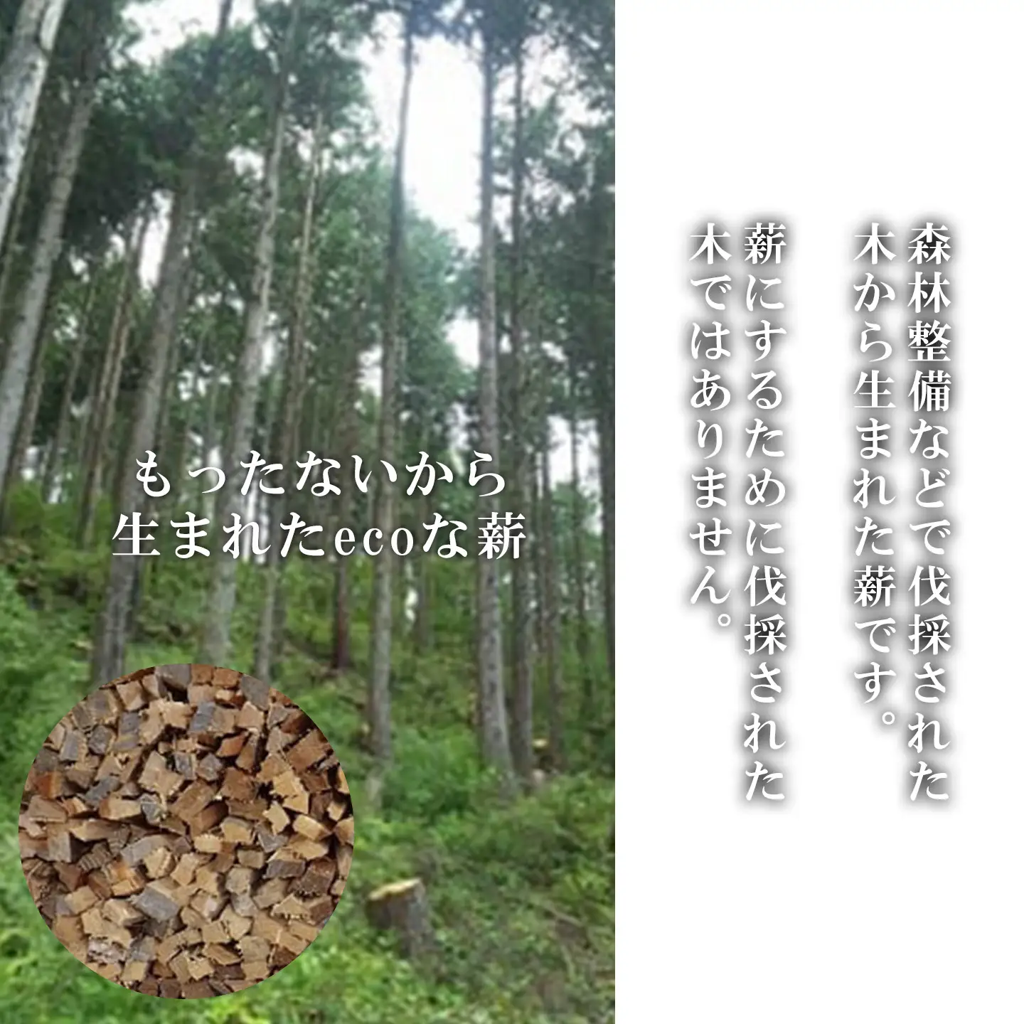きこりの薪 B金時山セット ミックス広葉樹 薪