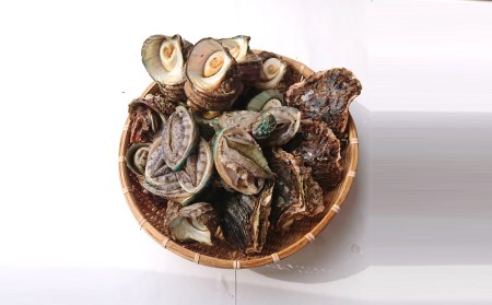 アワビやサザエをたっぷり贅沢に堪能！臼杵産貝類詰め合わせ
