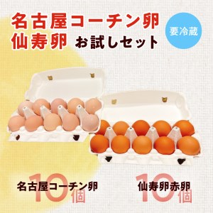 名古屋コーチン卵・仙寿卵お試しセット(各10個入り)良質卵[006K02]