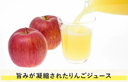 飯綱町の農家さんの りんごジュース 詰め合わせ 3本 ( 1本：500～1000ml 種類・容量 おまかせ ) 飲み比べ セット 沖縄県への配送不可 飲料 果汁飲料 りんご リンゴ 林檎 ジュース 信州 13000円 長野県 飯綱町 [1038]