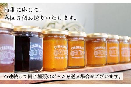【全6回定期便】 季節の果実ジャム 毎月3本（120g/本） 長与町/アグリューム [EAI008]  瓶 個別 セット ジャム