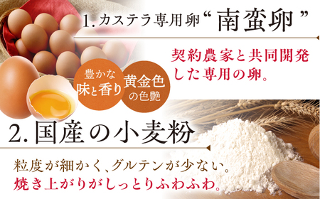 7日発送）長崎カステラ2本[EAK026]カステラ