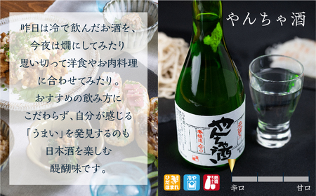 【日本酒】白真弓 厳選 5種飲み比べ  日本酒  [Q1568xcpi]